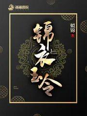 《锦衣玉令》小说封面