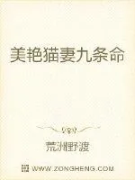 《美艳猫妻九条命》小说封面
