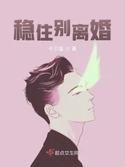 《稳住别离婚》小说封面