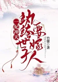 《一妃冲天：纨绔世子要嫁人》小说封面