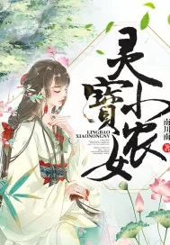 《灵宝小农女》小说封面