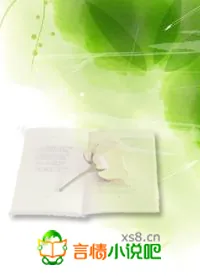 《长风映月》小说封面