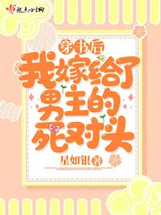 《穿书后我嫁给了男主的死对头》小说封面