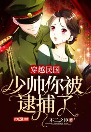 《穿越民国：少帅你被逮捕了》小说封面