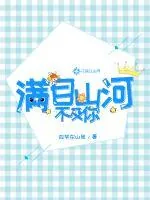 《满目山河不及你》小说封面