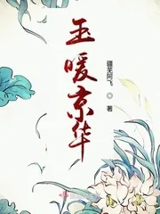 《玉暖京华》小说封面
