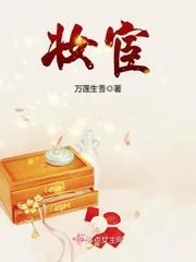 《妆宦》小说封面