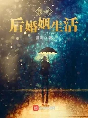 《我的后婚姻时代》小说封面