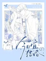 《今日宜结婚》小说封面