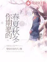 《你期愿的春夏秋冬》小说封面