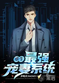 《重生：最强宠妻系统》小说封面