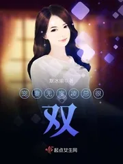 《宠妻无度凌总很双》小说封面