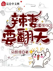 《重生90：辣妻要翻天》小说封面