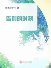 《告别的时刻》小说封面
