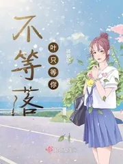 《不等落叶只等你》小说封面