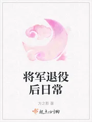 《将军退役后日常》小说封面