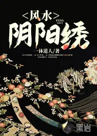 《风水阴阳绣》小说封面