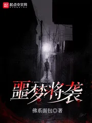 《噩梦将袭》小说封面