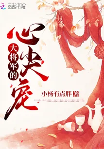 《大将军的心尖宠》小说封面