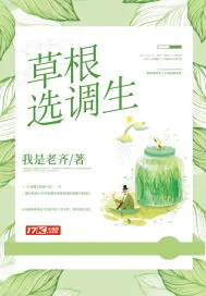 《草根选调生》小说封面