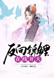 《反向锦鲤在线开大》小说封面