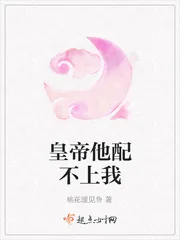 《皇帝他配不上我》小说封面