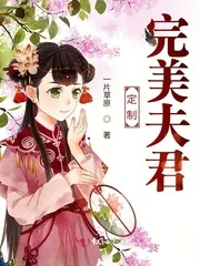 《定制完美夫君》小说封面