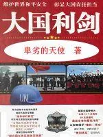 《大国利剑》小说封面
