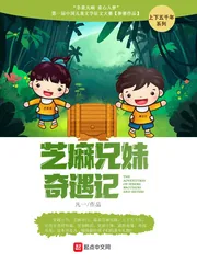 《芝麻兄妹奇遇记》小说封面