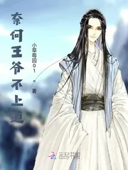 《奈何王爷不上道》小说封面