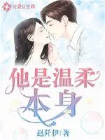 《他是温柔本身》小说封面