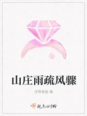 《山庄雨疏风骤》小说封面