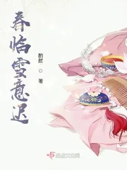 《春临雪意迟》小说封面