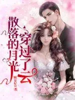 《散落的月光穿过了云》小说封面