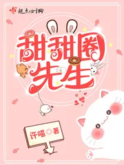 《甜甜圈先生》小说封面