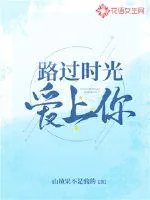 《路过时光爱上你》小说封面