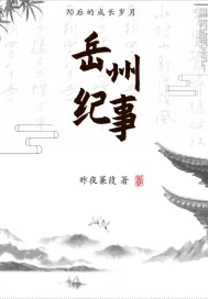 《岳州纪事》小说封面