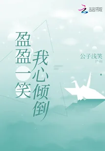 《盈盈一笑我心倾倒》小说封面
