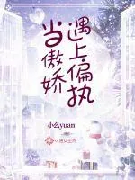 《当傲娇遇上偏执》小说封面