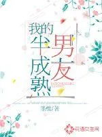 《我的半成熟男友》小说封面