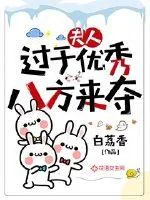 《夫人过于优秀八方来夺》小说封面