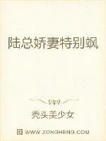 《陆总娇妻特别飒》小说封面