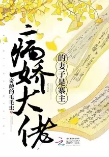 《病娇大佬的妻子是寨主》小说封面