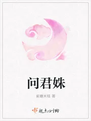 《问君姝》小说封面