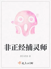 《非正经捕灵师》小说封面