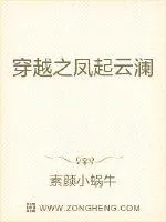 《穿越之凤起云澜》小说封面