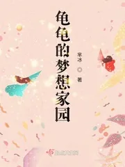 《龟龟的梦想家园》小说封面