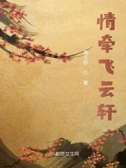 《情牵飞云轩》小说封面