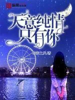 《天意纯情只有你》小说封面
