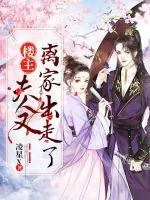 《楼主，夫人又离家出走了》小说封面